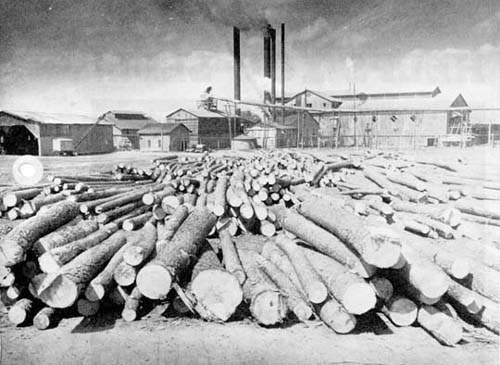 Foster Lumber Company at Fostoria, Texas