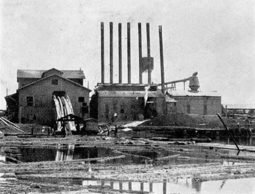 Texas Long Leaf Lumber Company at Trinity, Texas
