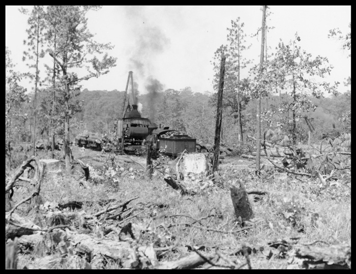 Bentley Lumber Co. no. 54 with a loader and log train at one of the company's loading areas near Zimmerman, Louisiana. Undated.