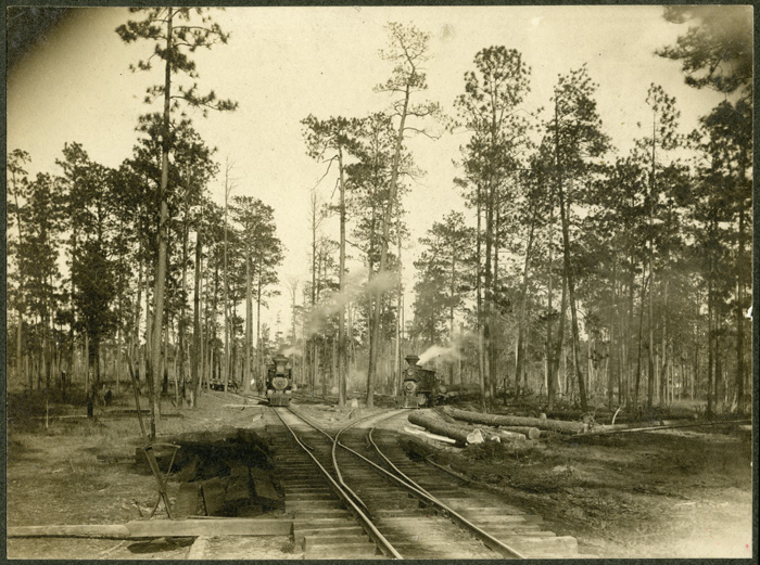 Kirby Lumber Company, two locomotives with log trains on the company's tram near Call, Texas, ca. 1902.